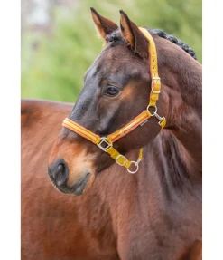 Best Licol Twotone Licols Synthétiques|Licols Pour Poneys & Poulains