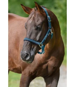 Sale Licol Twotone Licols Synthétiques|Licols Pour Poneys & Poulains