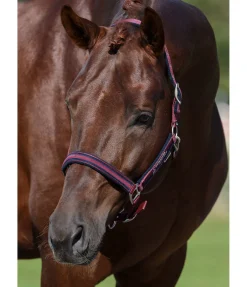 Clearance Licol Twotone Licols Synthétiques|Licols Pour Poneys & Poulains