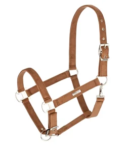 Sale Licol Velvet Licols Synthétiques