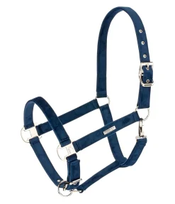 Best Licol Velvet Licols Synthétiques