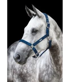 Best Licol Velvet Licols Synthétiques