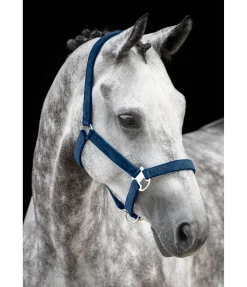 Best Licol Velvet Licols Synthétiques