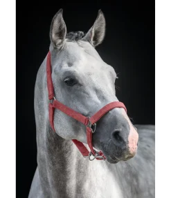 Discount Licol Velvet Licols Synthétiques