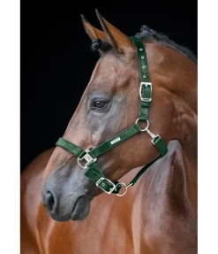 New Licol Velvet Licols Synthétiques