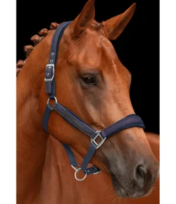 Outlet Licol Velvet Twinkle Licols Pour Poneys & Poulains|Licols Synthétiques