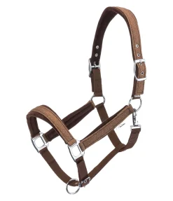 Best Licol Velvet Twinkle Licols Pour Poneys & Poulains|Licols Synthétiques