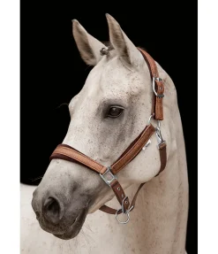 Best Licol Velvet Twinkle Licols Pour Poneys & Poulains|Licols Synthétiques