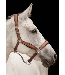 Best Licol Velvet Twinkle Licols Pour Poneys & Poulains|Licols Synthétiques