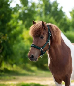 Discount Licol Viktor Licols Synthétiques