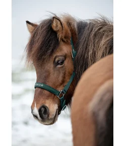 Discount Licol Viktor Licols Synthétiques