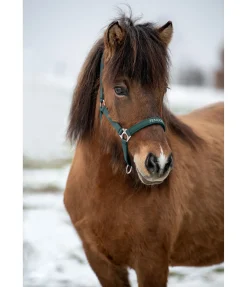 Discount Licol Viktor Licols Synthétiques