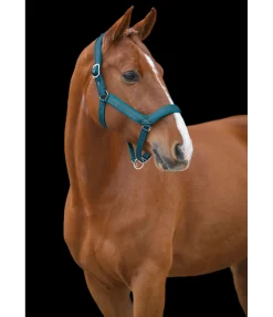 Hot Licol anatomique Relaxation Licols Pour Poneys & Poulains|Licols Synthétiques