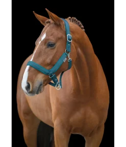 Hot Licol anatomique Relaxation Licols Pour Poneys & Poulains|Licols Synthétiques