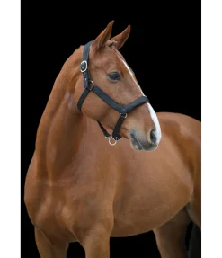 Online Licol anatomique Relaxation Licols Pour Poneys & Poulains|Licols Synthétiques