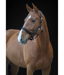 Online Licol anatomique Relaxation Licols Pour Poneys & Poulains|Licols Synthétiques