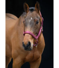 Licol anatomique Relaxation Licols Pour Poneys & Poulains|Licols Synthétiques