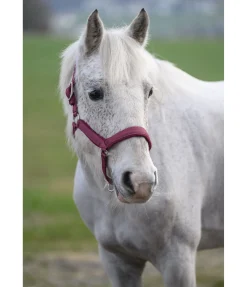 Licol anatomique Relaxation Licols Pour Poneys & Poulains|Licols Synthétiques