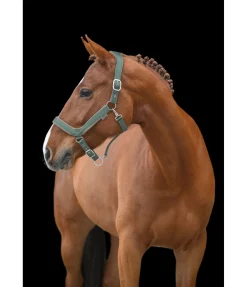 Sale Licol anatomique Relaxation Licols Pour Poneys & Poulains|Licols Synthétiques