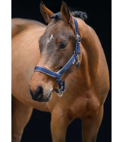 Online Licol anatomique Relaxation Licols Pour Poneys & Poulains|Licols Synthétiques