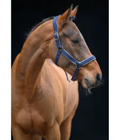 Online Licol anatomique Relaxation Licols Pour Poneys & Poulains|Licols Synthétiques