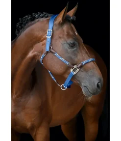 Hot Licol anatomique Sophistication Licols En Cuir|Licols Synthétiques