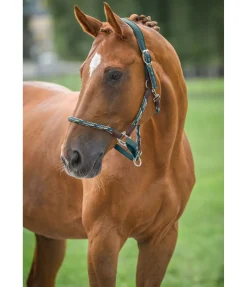 Hot Licol anatomique Sophistication Licols En Cuir|Licols Synthétiques