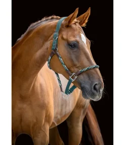 Hot Licol anatomique Sophistication Licols En Cuir|Licols Synthétiques