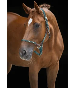 Hot Licol anatomique Sophistication Licols En Cuir|Licols Synthétiques