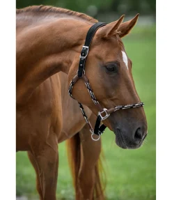 Online Licol anatomique Sophistication Licols En Cuir|Licols Synthétiques