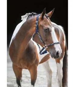 New Licol anatomique Sophistication Licols En Cuir|Licols Synthétiques