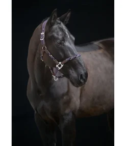 Online Licol anatomique Sophistication Licols En Cuir|Licols Synthétiques