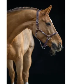 Online Licol anatomique Sophistication Licols En Cuir|Licols Synthétiques