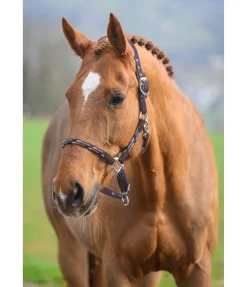 Online Licol anatomique Sophistication Licols En Cuir|Licols Synthétiques