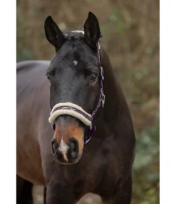 Discount Licol avec polaire Teddy Better Together Fourrure D'Agneau|Licols Pour Poneys & Poulains
