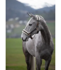 Clearance Licol avec polaire Teddy Better Together Fourrure D'Agneau|Licols Pour Poneys & Poulains