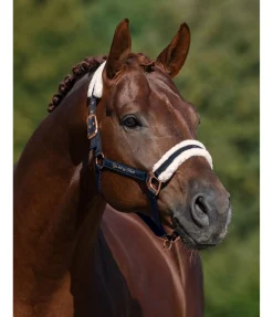 New Licol avec polaire Teddy Better Together Fourrure D'Agneau|Licols Pour Poneys & Poulains