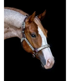 Outlet Licol de show Licols Synthétiques|Licols En Cuir