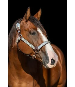 Outlet Licol de show Licols Synthétiques|Licols En Cuir