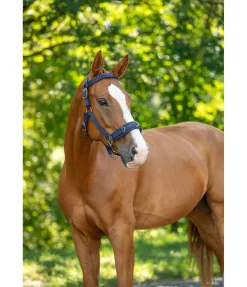 Outlet Licol de travail Licols D'Entraînement