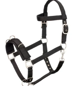 Hot Licol de travail Licols D'Entraînement