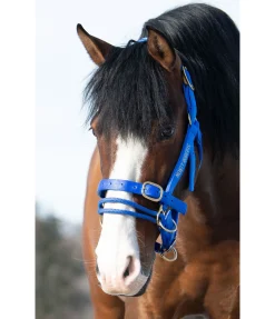 Clearance Licol Dually Licols Pour Poneys & Poulains|Licols D'Entraînement