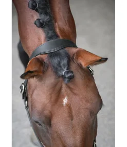 Best Licol en cuir Anatomical Licols En Cuir|Licols Synthétiques