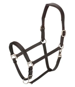 Outlet Licol en cuir Anatomical Licols En Cuir|Licols Synthétiques