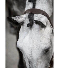 Outlet Licol en cuir Anatomical Licols En Cuir|Licols Synthétiques