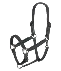 Hot Licol en cuir Blika Licols En Cuir