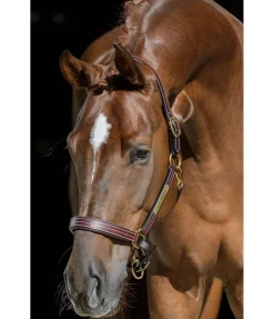 Best Licol en cuir Graveur Licols En Cuir