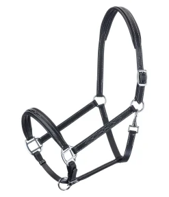 New Licol en cuir Stitch Licols Pour Poneys & Poulains|Licols En Cuir