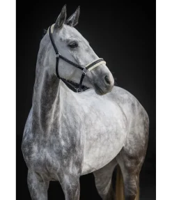 Outlet Licol en cuir avec polaire Teddy Stitch Fourrure D'Agneau|Licols Pour Poneys & Poulains