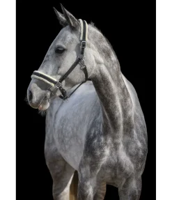 Outlet Licol en cuir avec polaire Teddy Stitch Fourrure D'Agneau|Licols Pour Poneys & Poulains